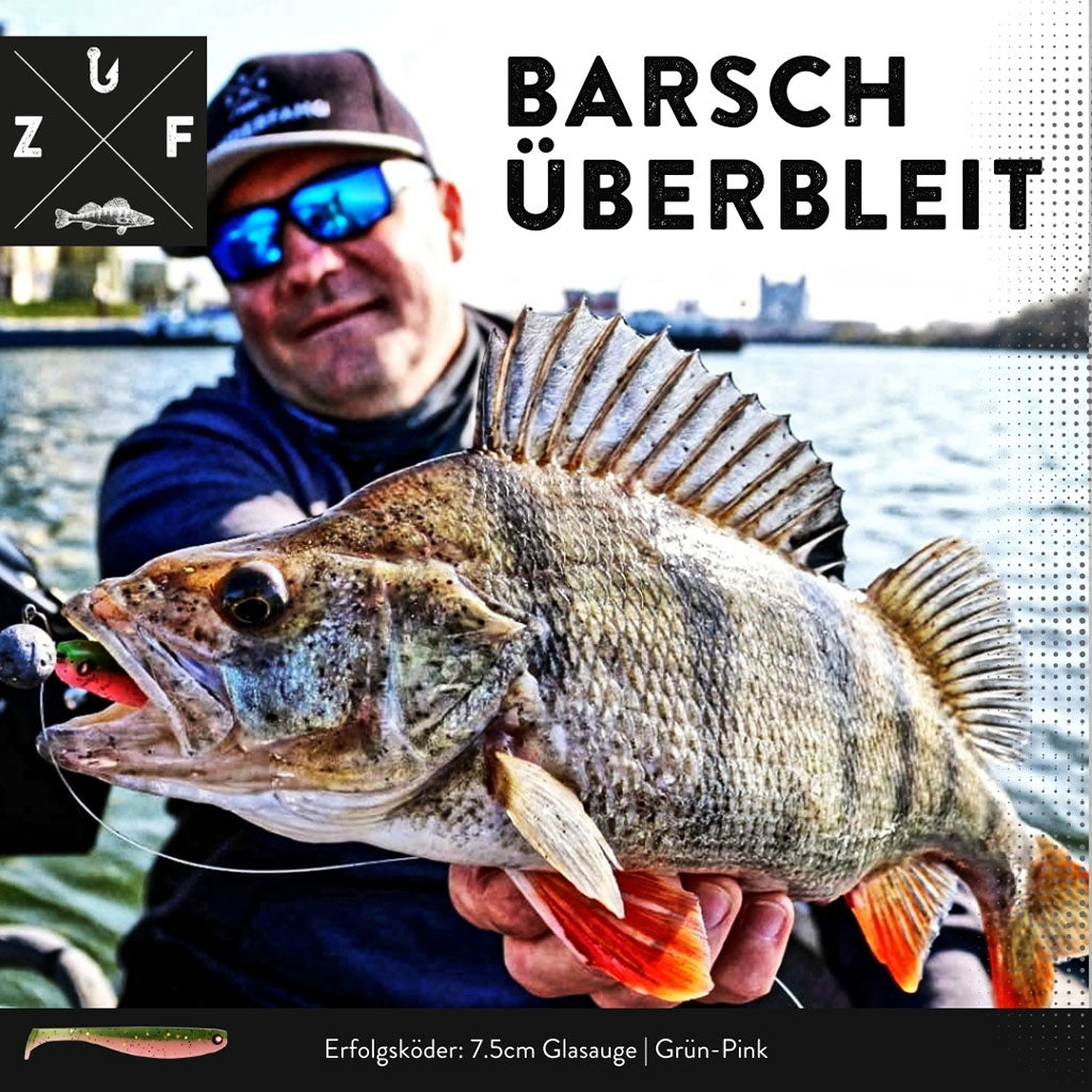 Barschköder Gummifisch klein