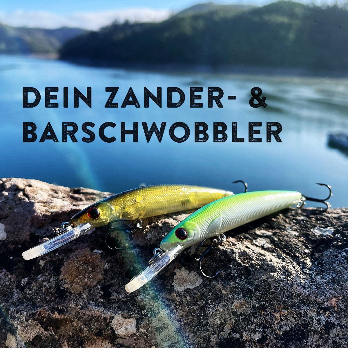 Wobbler Barsch Zander