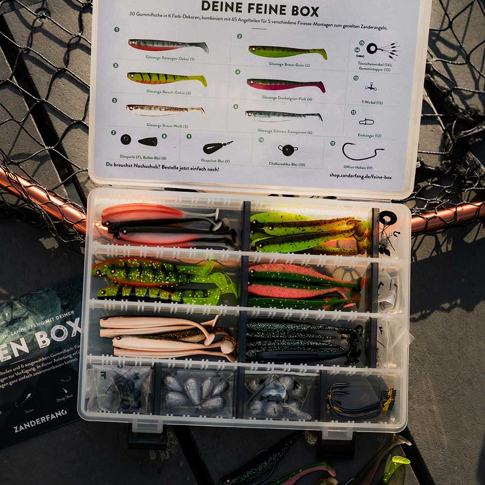 Angelset Finesse Fischen Zander