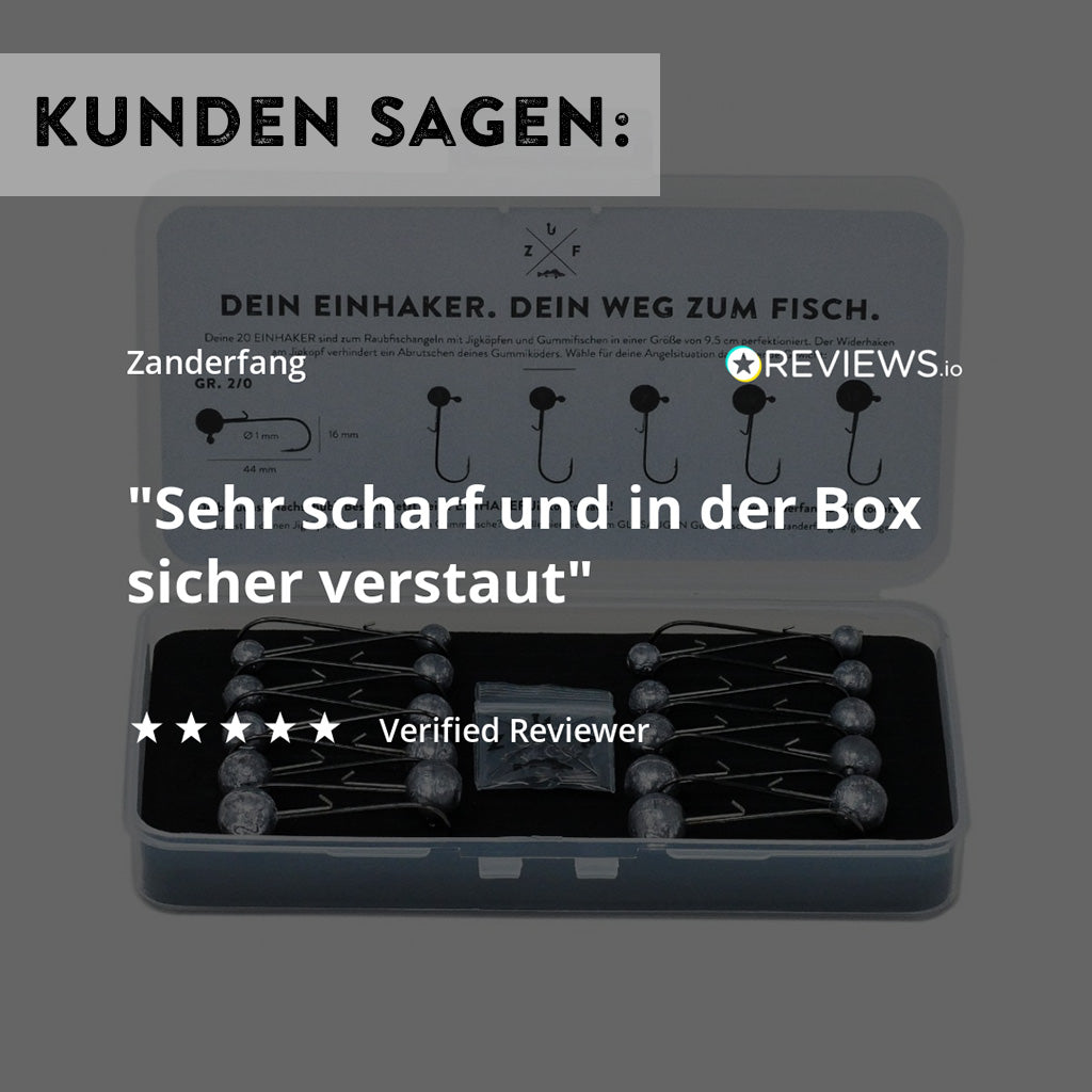 Jigkopf Zander Bewertung