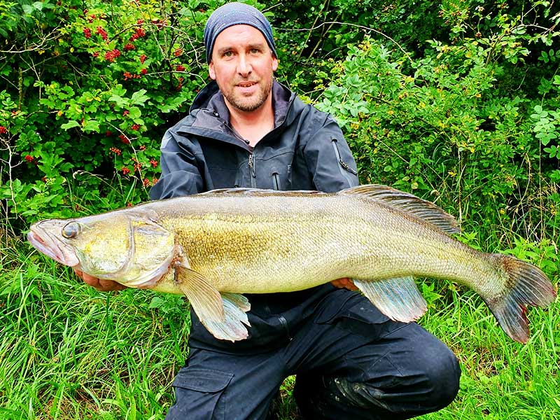 Teamangler