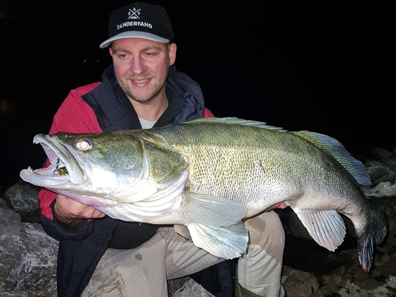 Meter Zander