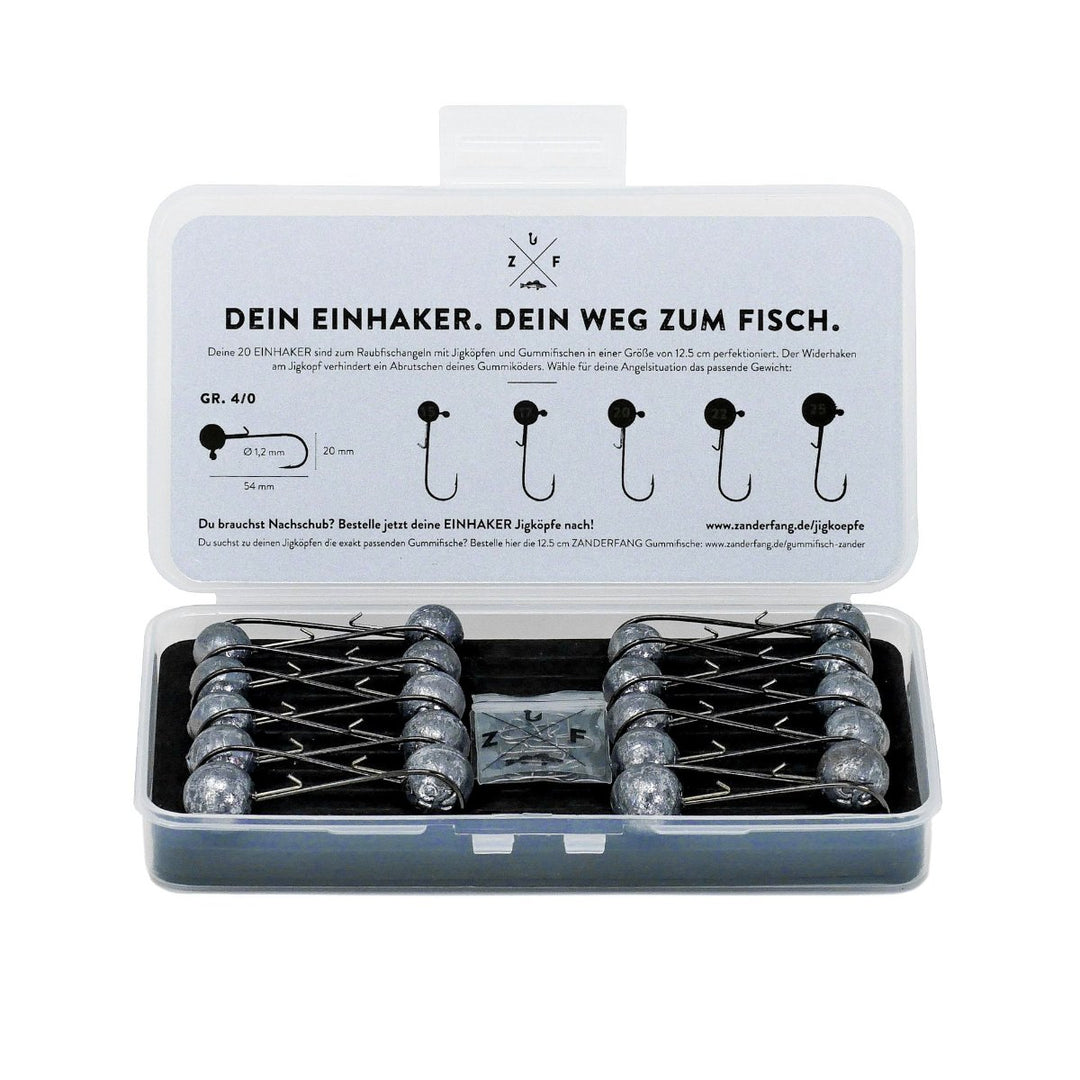 Jigkopf Box Einhaker Zanderfang