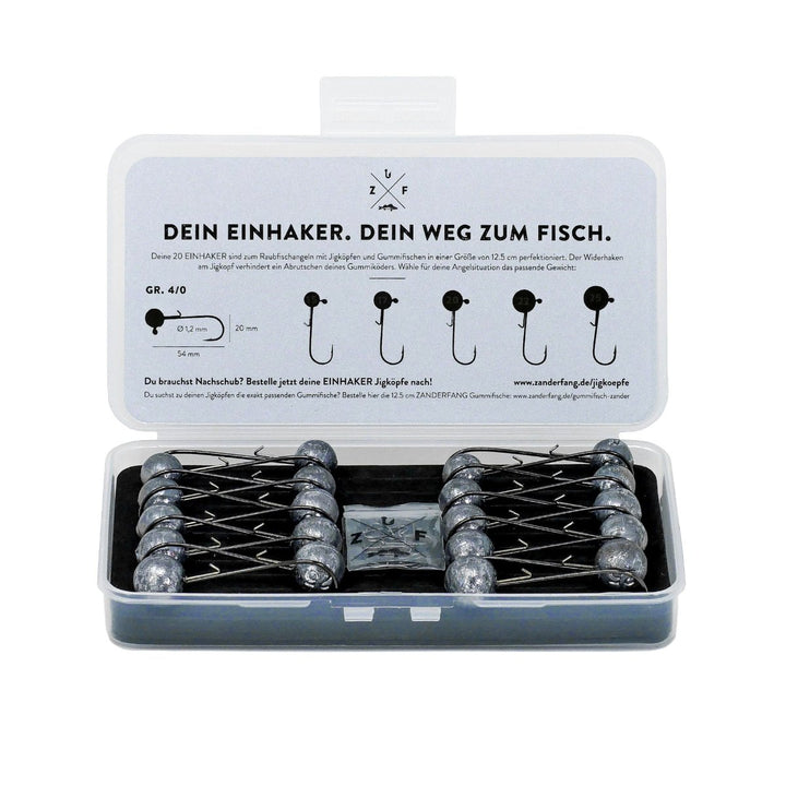 Jigkopf Box Einhaker Zanderfang