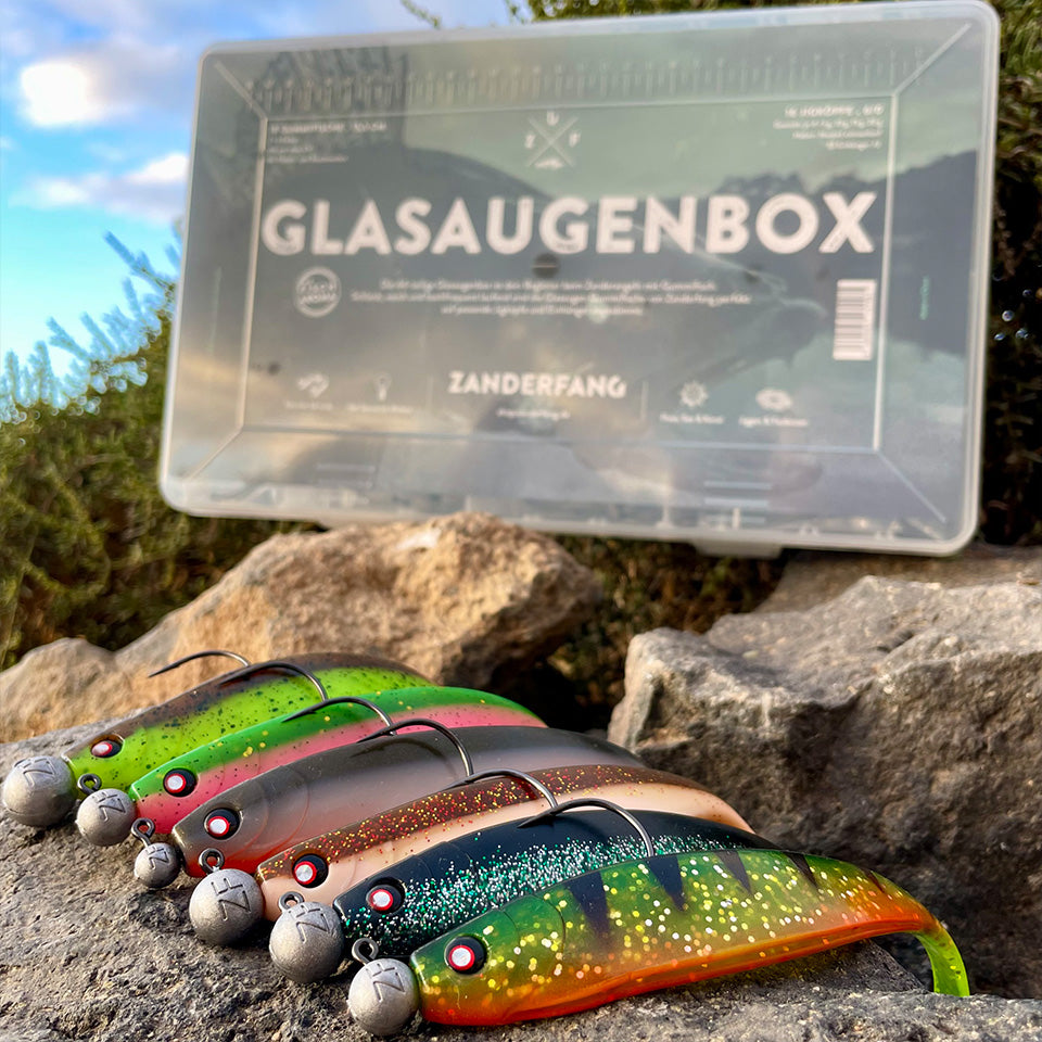 Glasaugenbox - Gummiköder mit Jigkopf