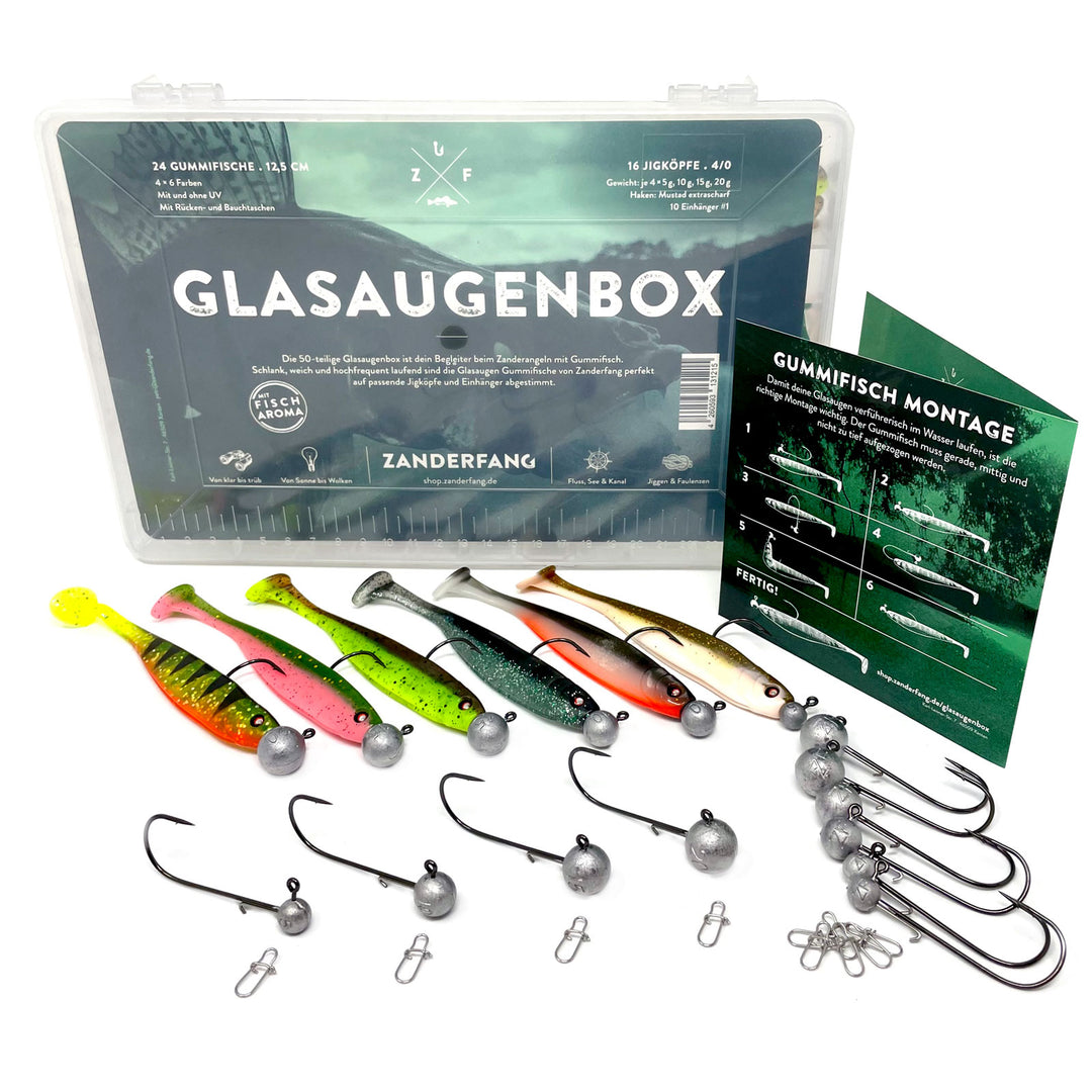 Gummifische 12cm Gummiköder Box mit passenden Jigköpfen
