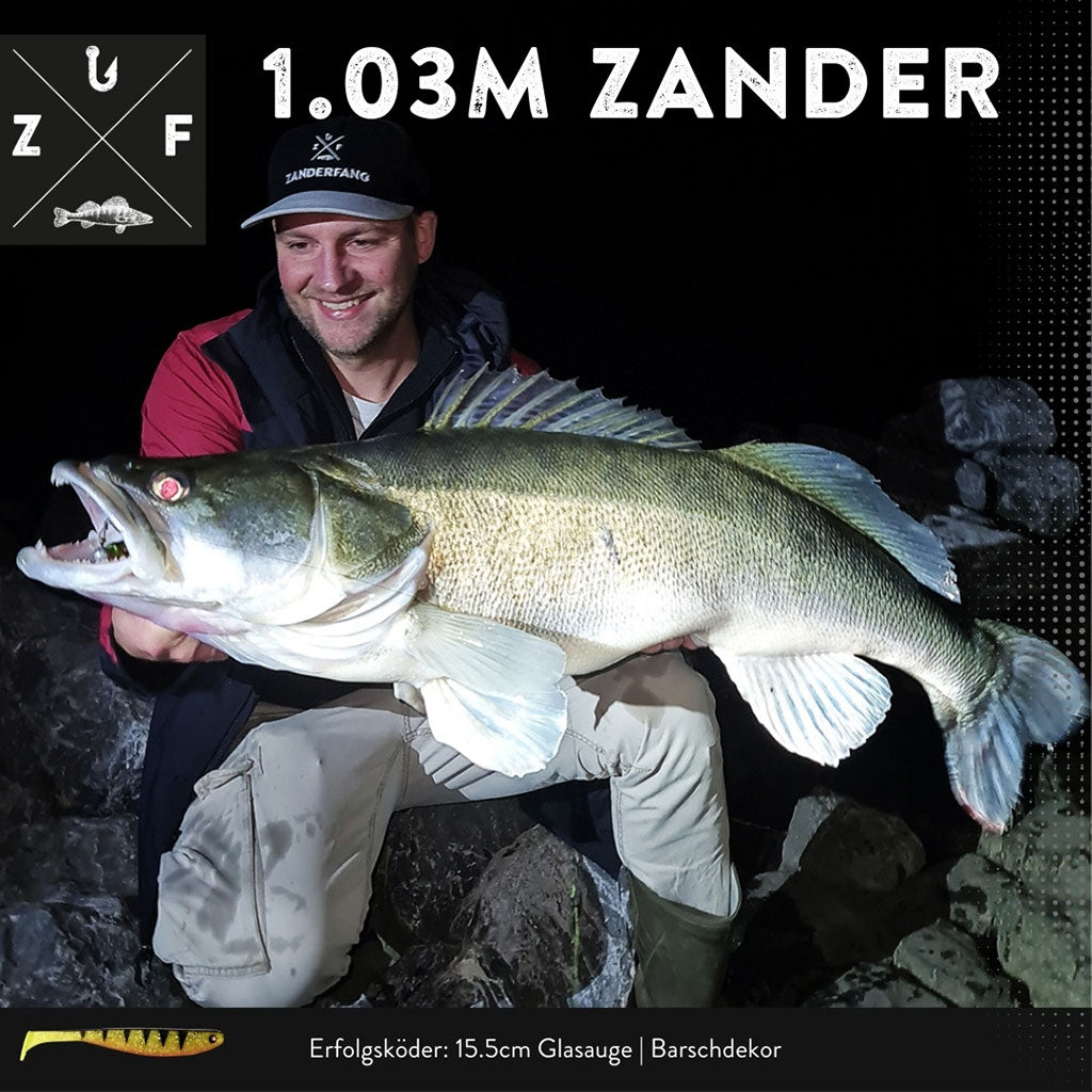 Zander mit Gummifisch