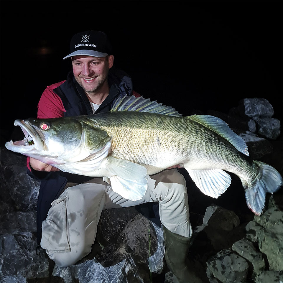 Kapitaler Zanderfang auf Glasauge Barsch 15cm