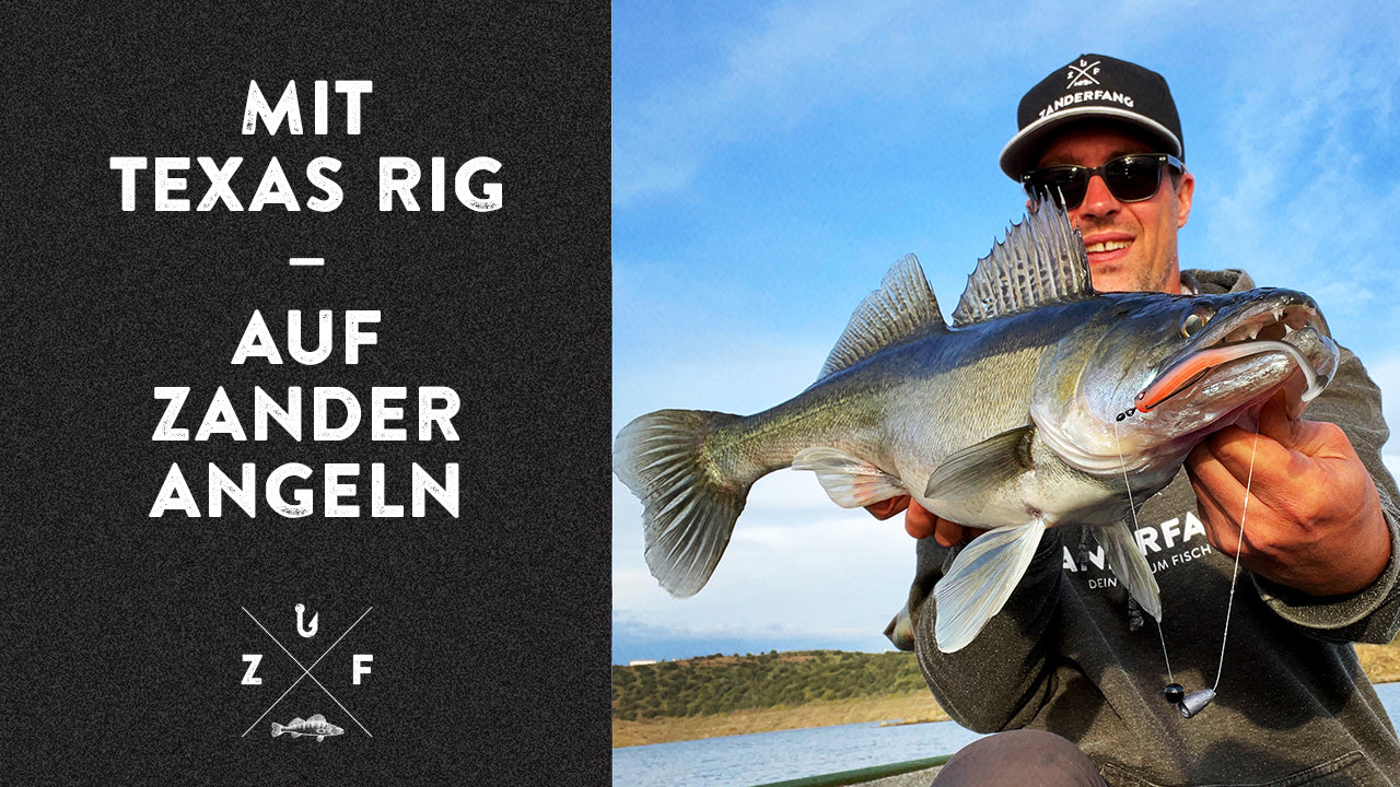 Texas Rig System Angeln