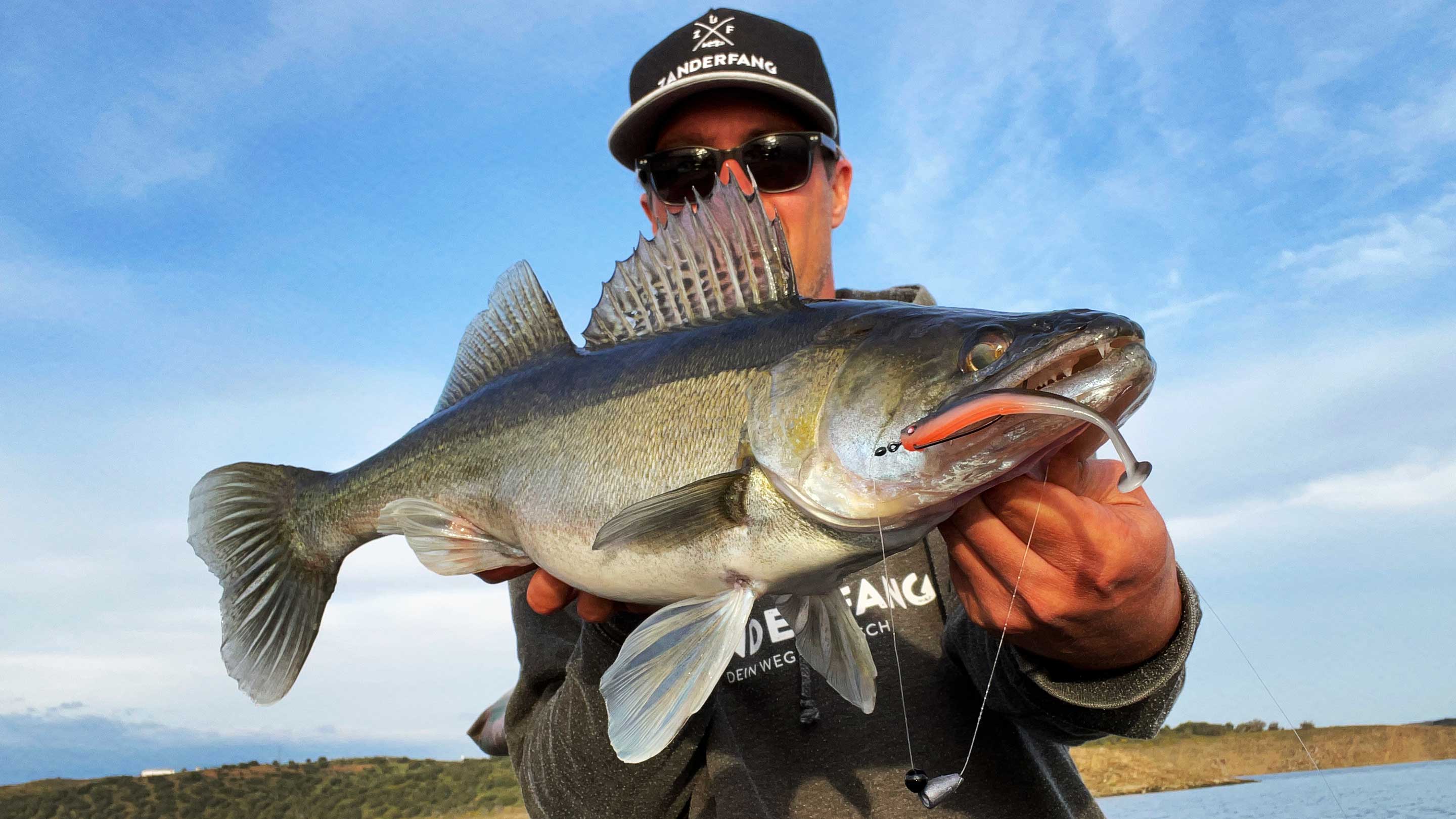 Zanderfang mit Gummifisch am Texas Rig