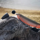 Texas Rig Angeln