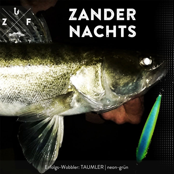 Zander Fang nachts