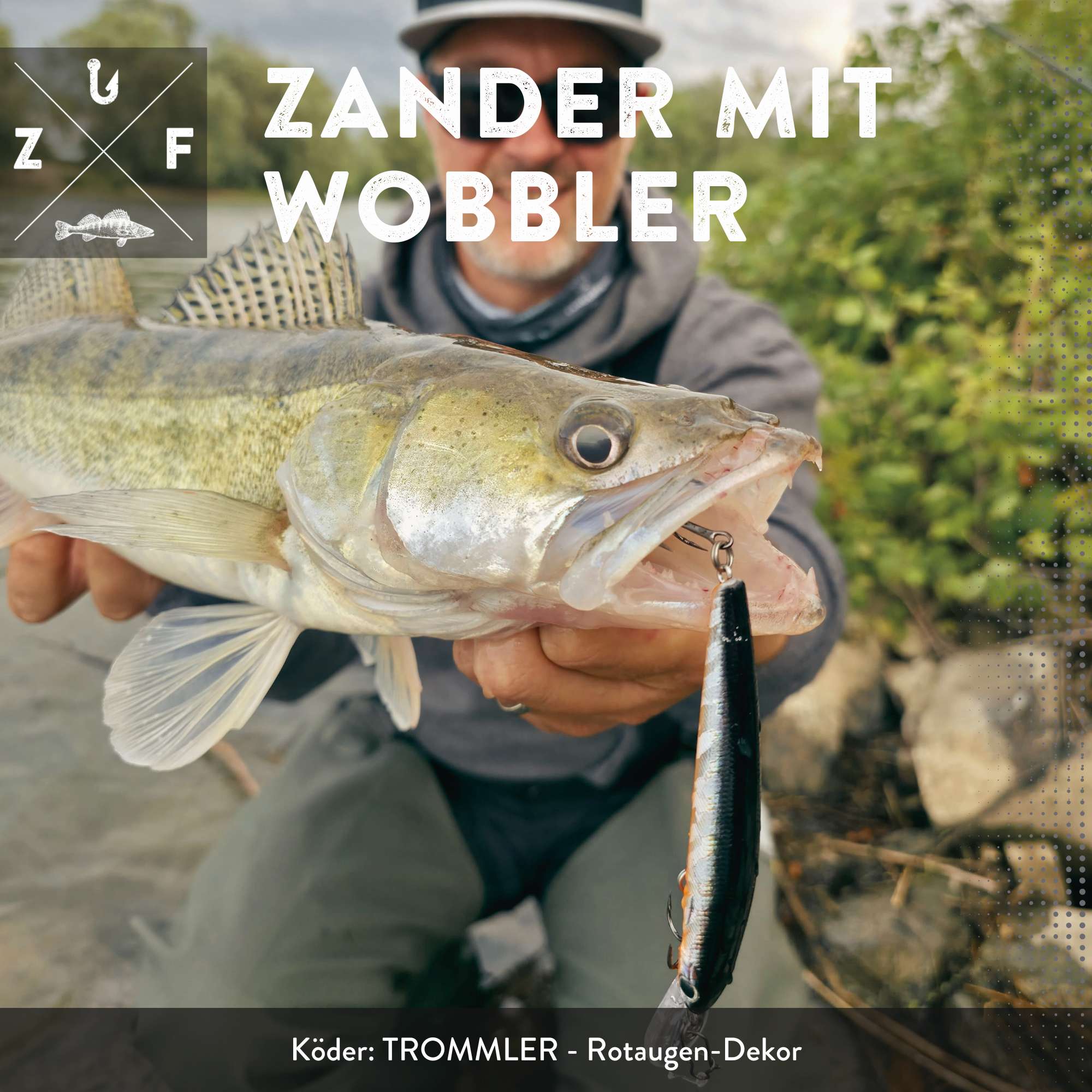 Zander mit Wobbler