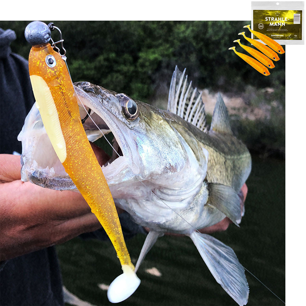 Gummifisch Zander 