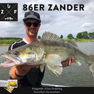 Zander gefangen mit Gummiköder