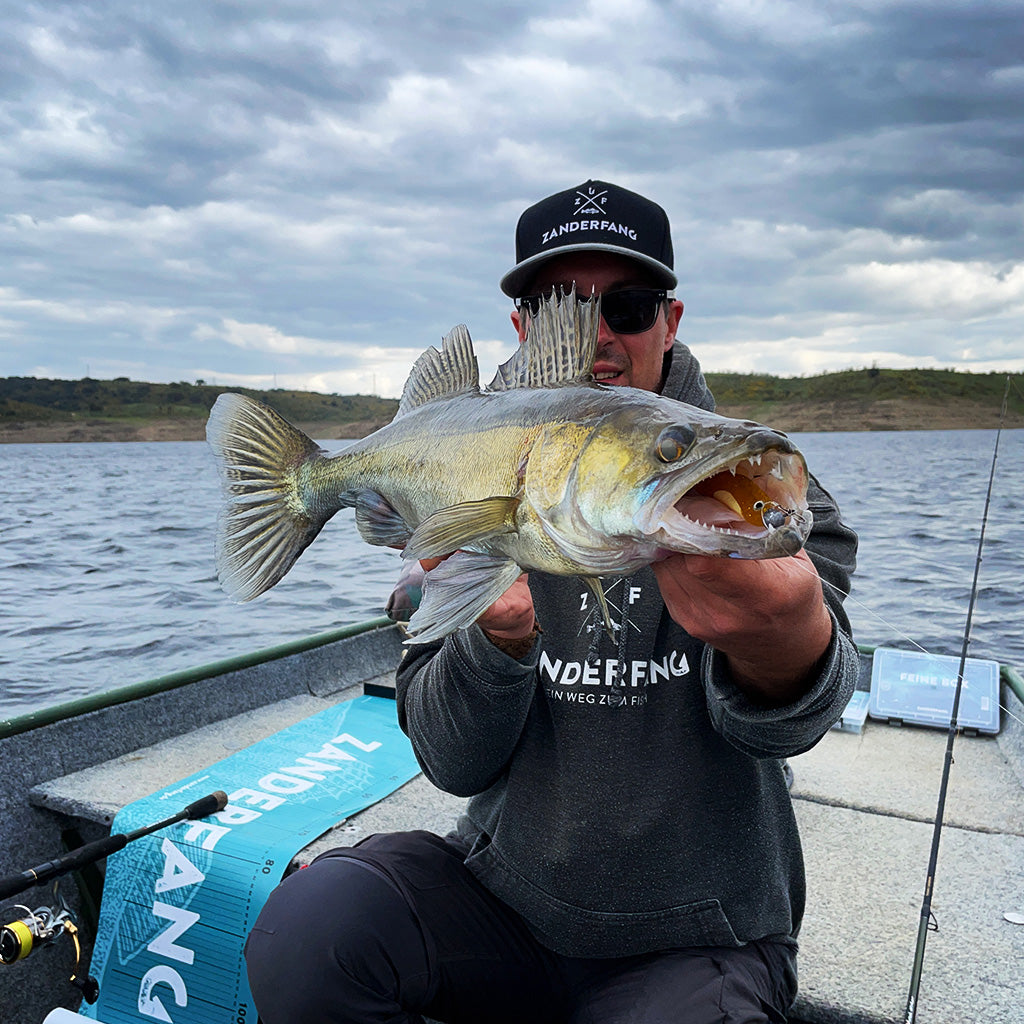 Zander mit braunem Gummifisch