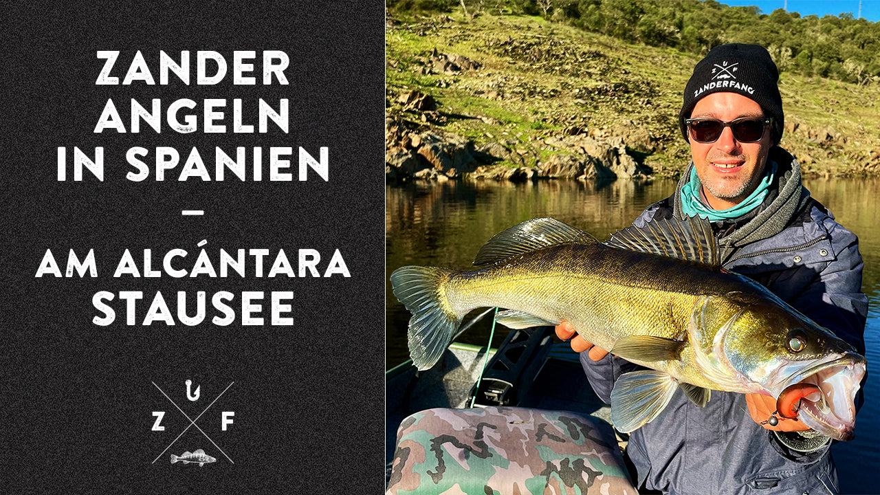 Zanderangeln mit Gummifisch Box Glasaugen in Spanien