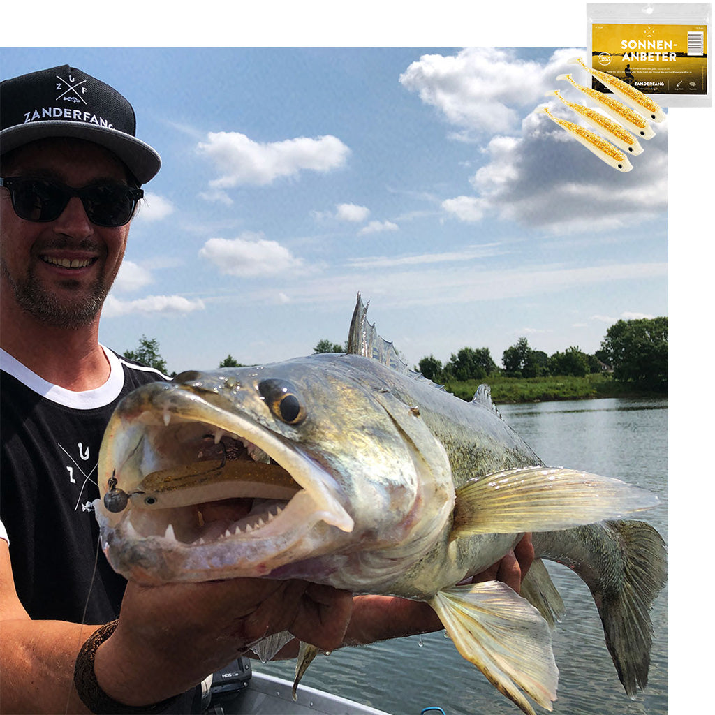 Zander mit Gummifisch