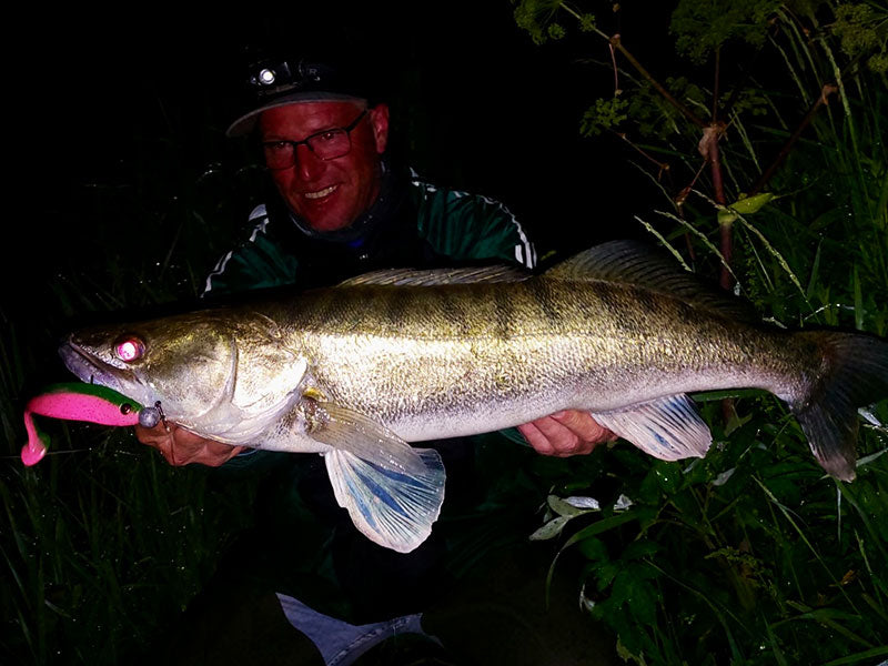 Zander mit Gummifisch
