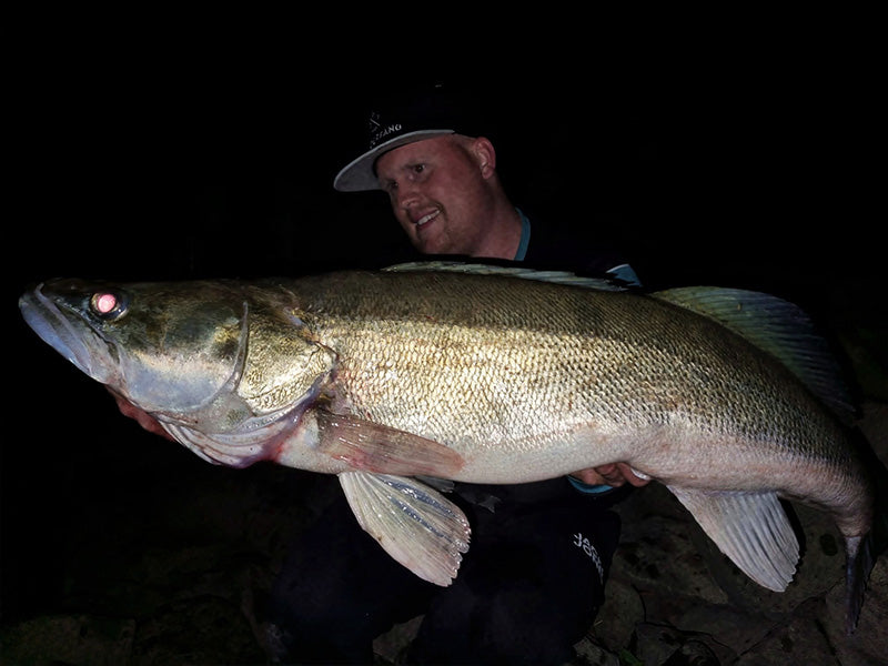 Kapitaler Zander Fang