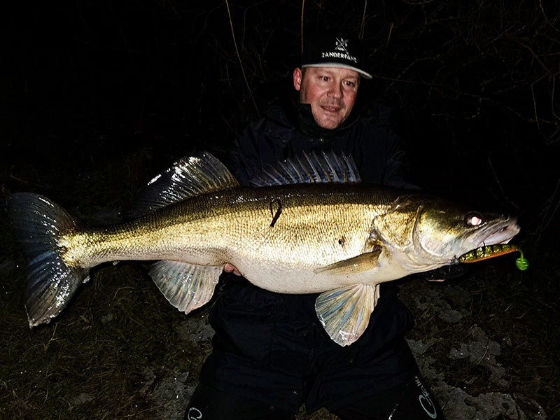 Meterzander Gummifisch