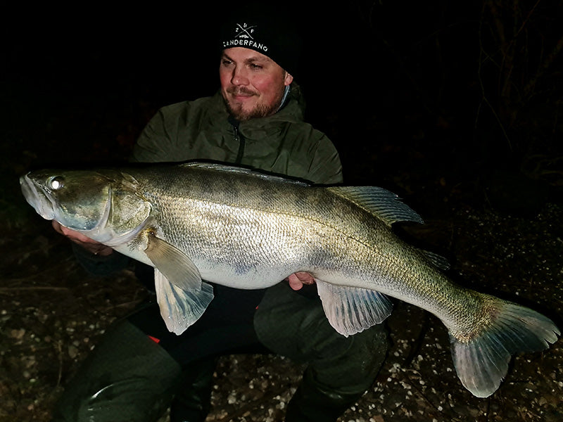 Großer Zander