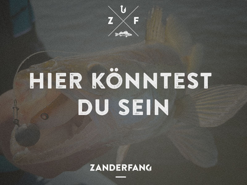 Teamangler werden