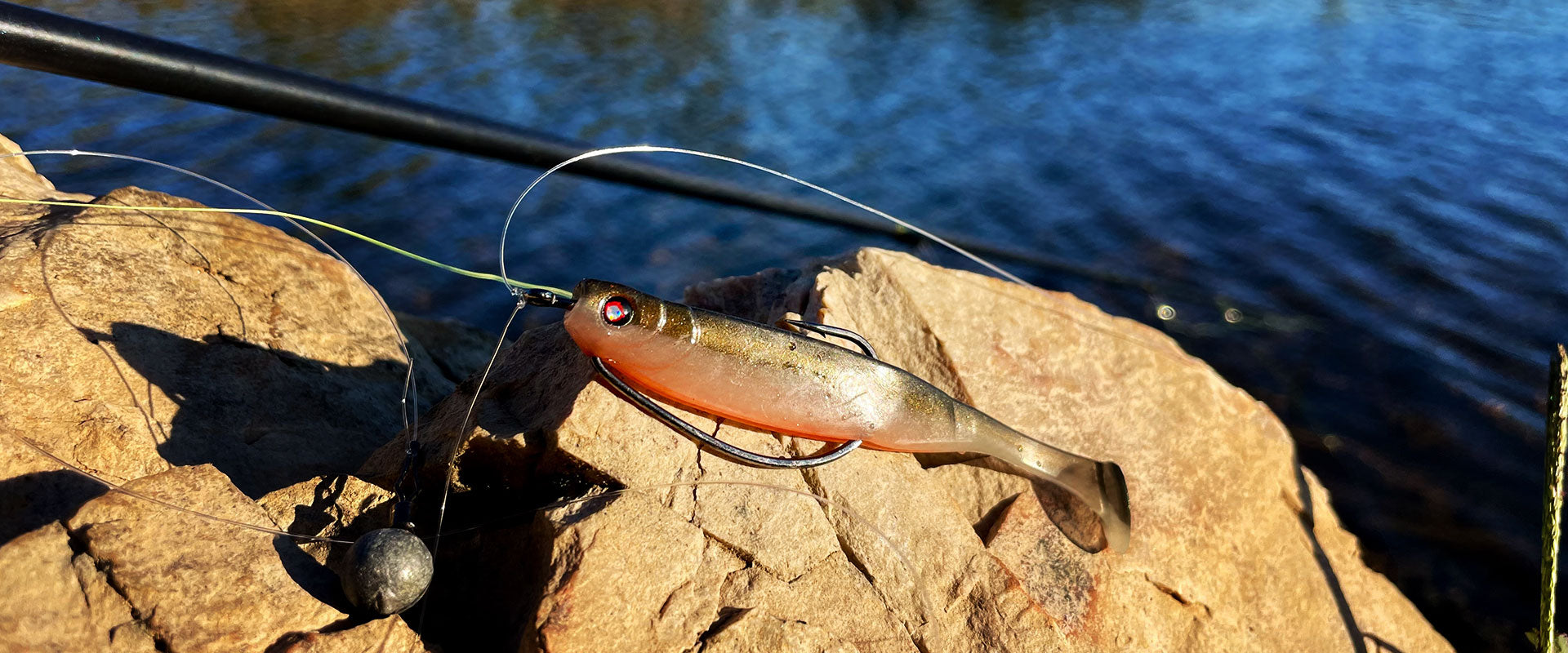 Drop Shot Angeln