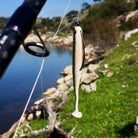 Gummifisch am Drop Shot System am Offset Haken montiert