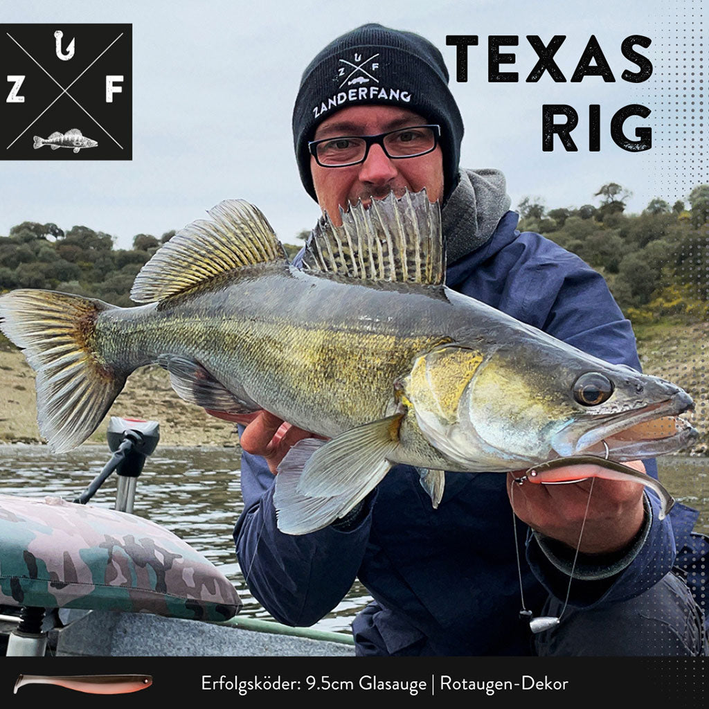 Zander angeln mit Texas Rig System