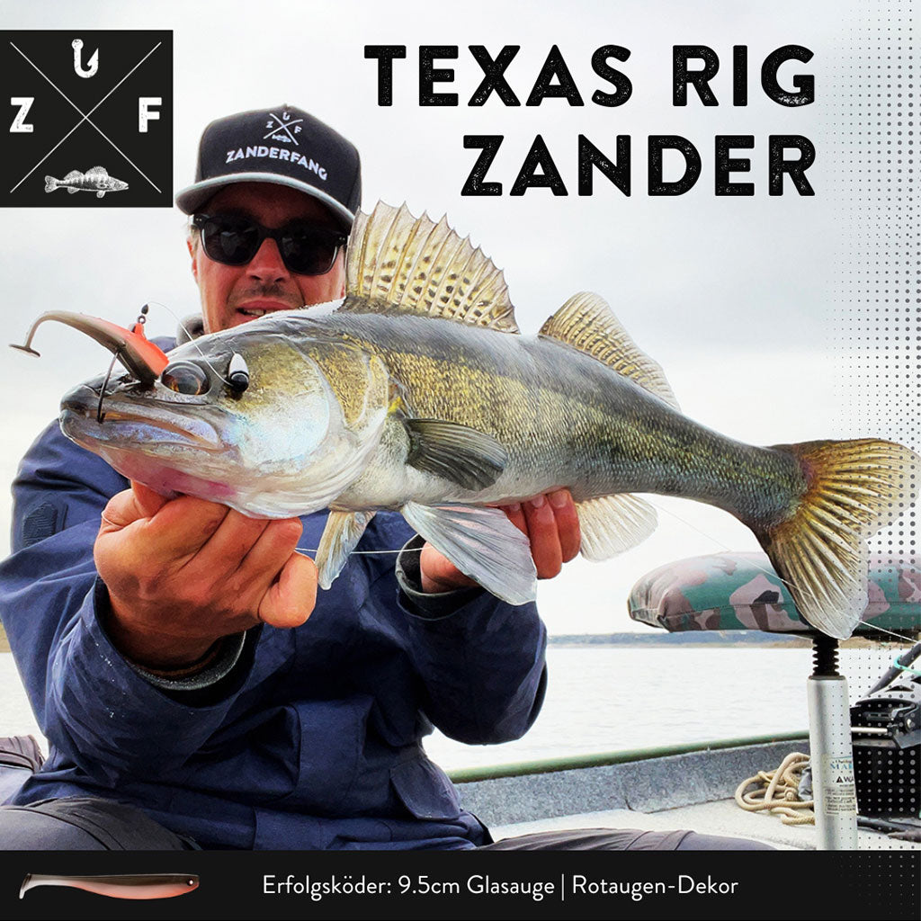 Texas Rig Zander Fang