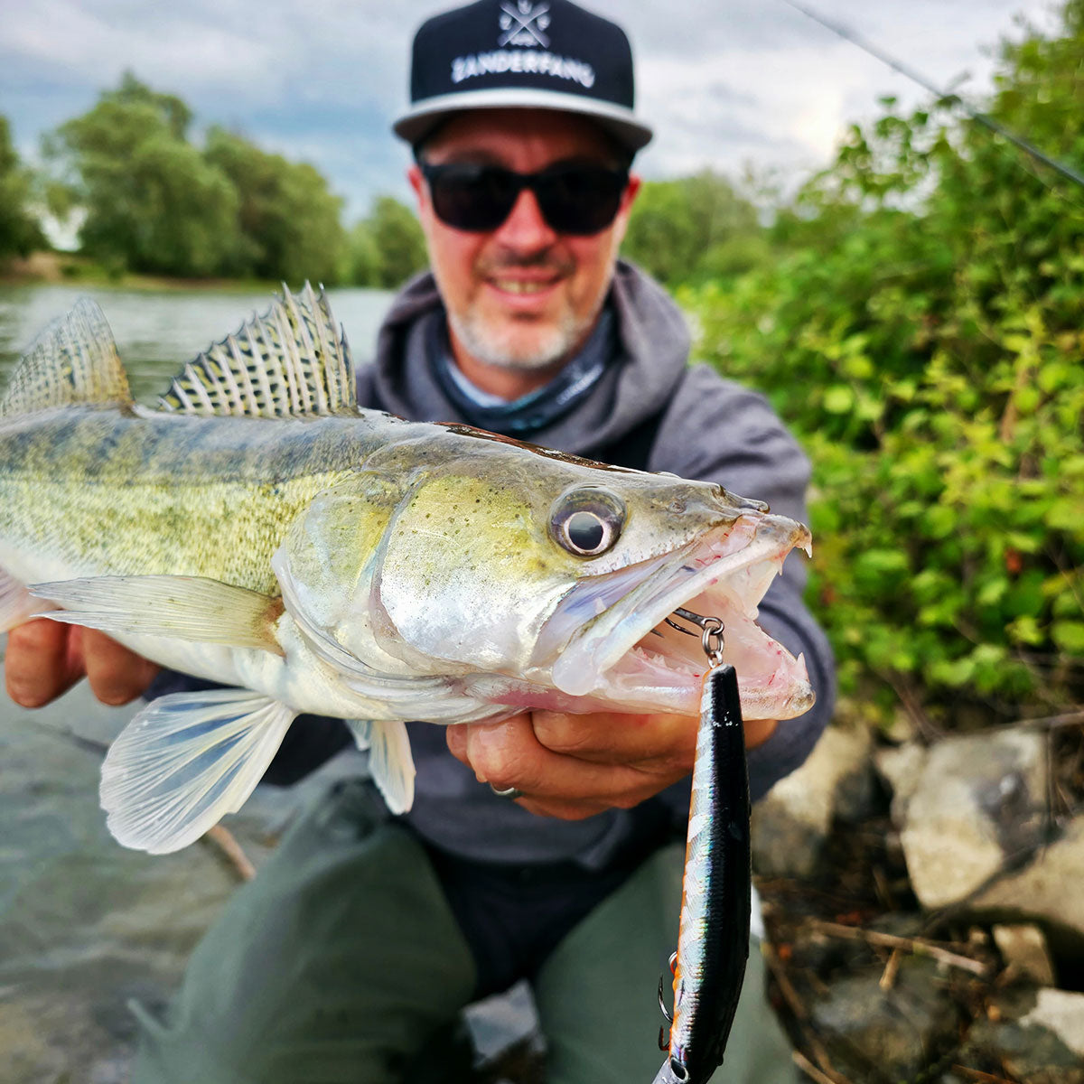 Zander mit Wobbler tag